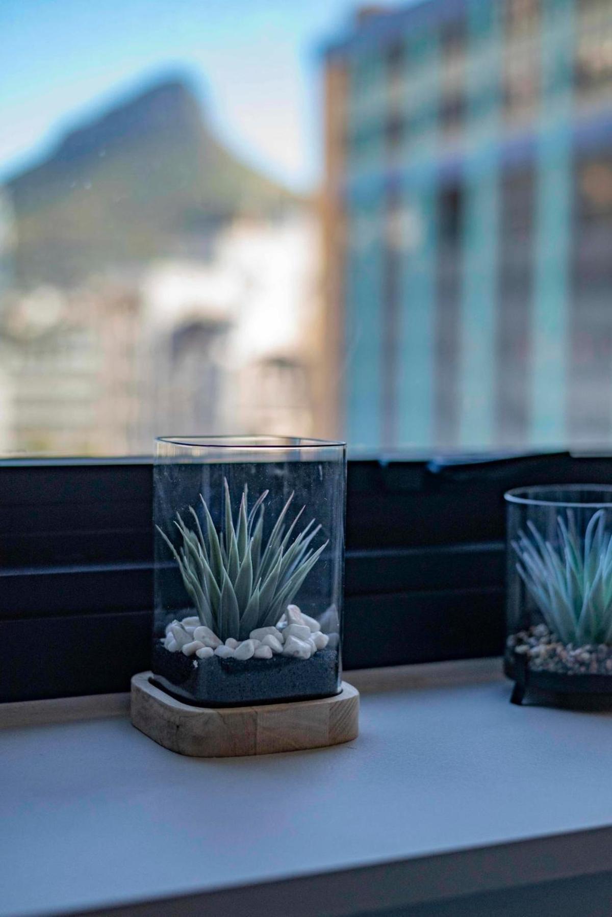 Apartment Stylish In The Tokyo Rooftop Pool & Braai Cape Town